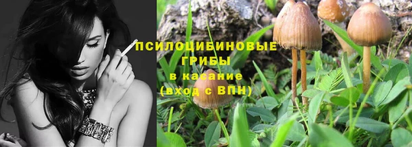 твердый Алзамай