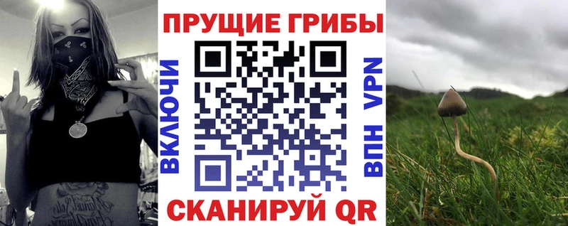Псилоцибиновые грибы GOLDEN TEACHER  закладки  shop Telegram  Щёкино 