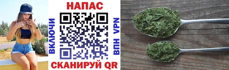 Бошки марихуана ГИДРОПОН Щёкино
